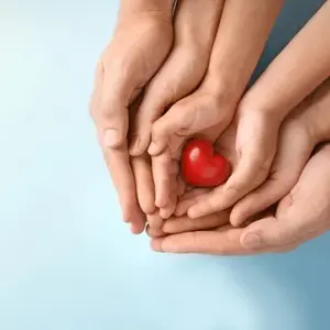 Hands in hands holding heart